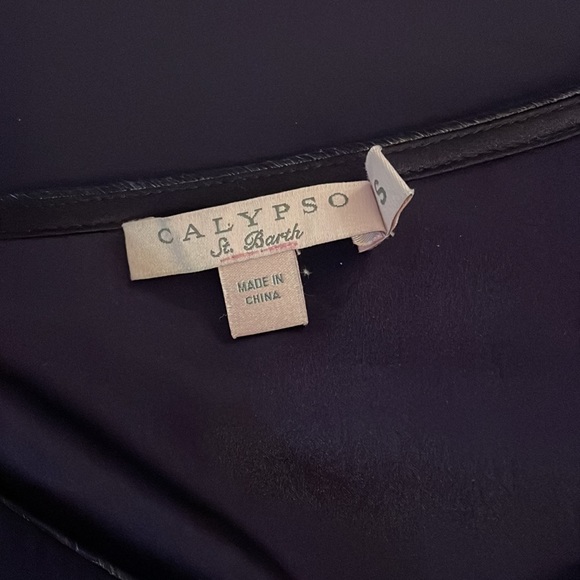 CALYPSO ST. Barth silk purple dress - Picture 4 of 10